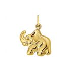 9 karaat bedel olifant.