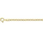 Gouden jasseron, kinder bedel armbandje 15 cm.