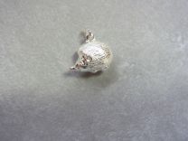 Egel zilveren bedel