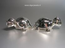 Schildpad tand en haar doosjes